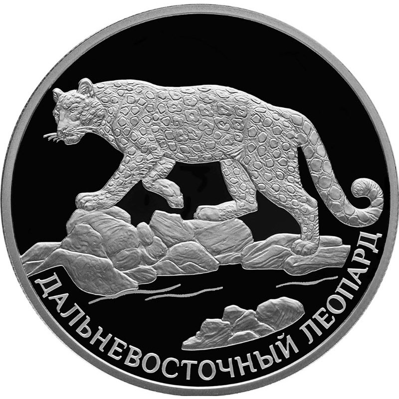 Серебряная монета России 